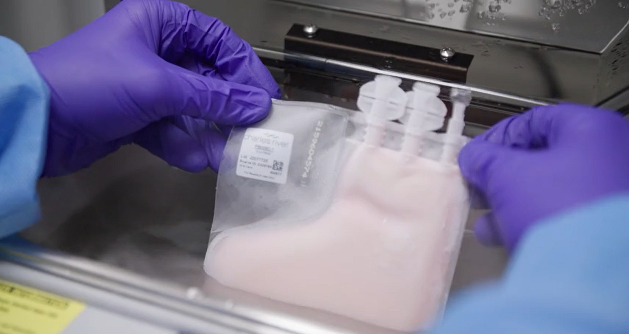 How to Thaw Cells In A Cryopreserved Leukopak Charles River